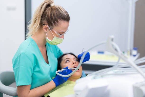 Best Emergency X-Rays and Diagnostics in Salem, MO